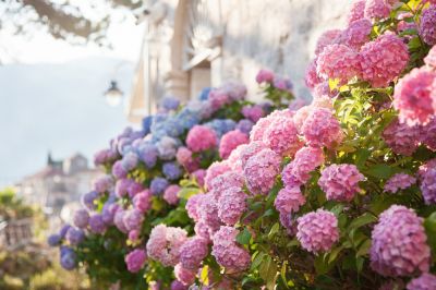 Add Curb Appeal!